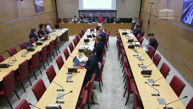 Baisse de la natalité en France : Représentants de l’Institut national d’études démographiques (INED) - Mercredi 9 juillet 2025