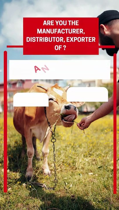Top-Quality Animal Feed Suppliers Now on Pepagora | Global Sourcing Simplified