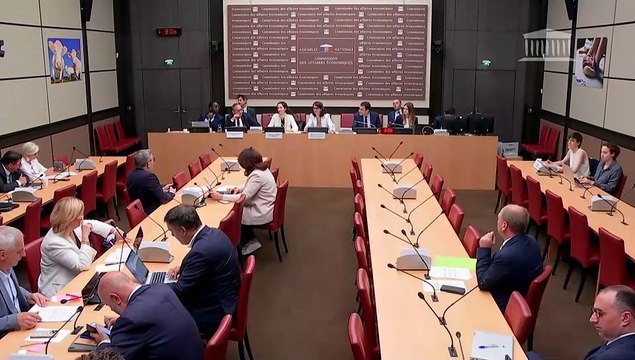 Commission des affaires économiques : Mme Anne-Isabelle Etienvre, proposée aux fonctions d’administratrice générale du Commissariat à l'énergie atomique et aux énergies alternatives - Mercredi 9 juillet 2025