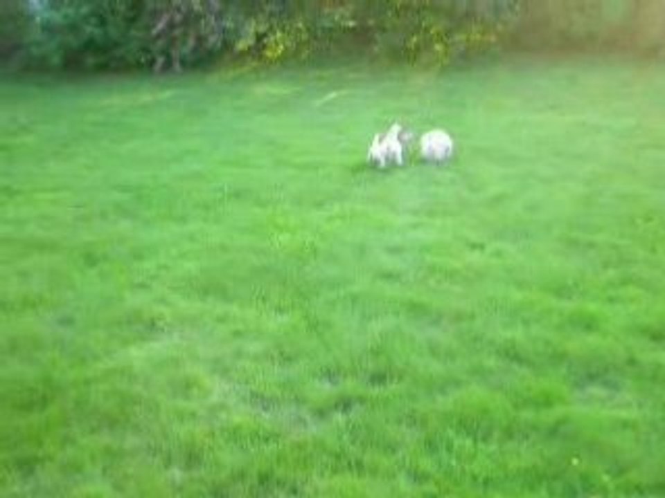 maya joue au foot