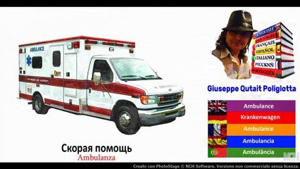 Visual Dict with Audio Ягненок, Скорая помощь, Ананас, Омар