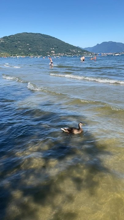 Lago maggiora