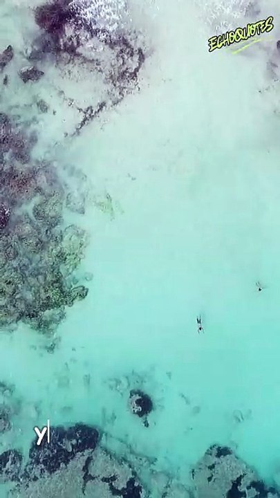 You may encounter many defeats, but you must not be defeated #quotes #motivation