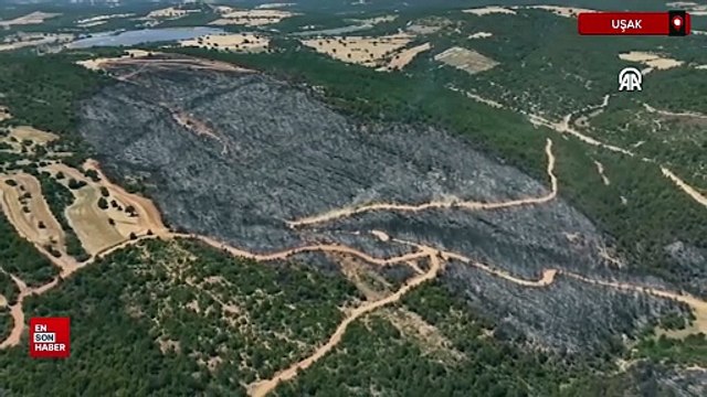 Uşak'ta orman yangınından etkilenen alanlar havadan görüntülendi