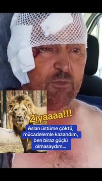 Siz bir de aslanın halini görün