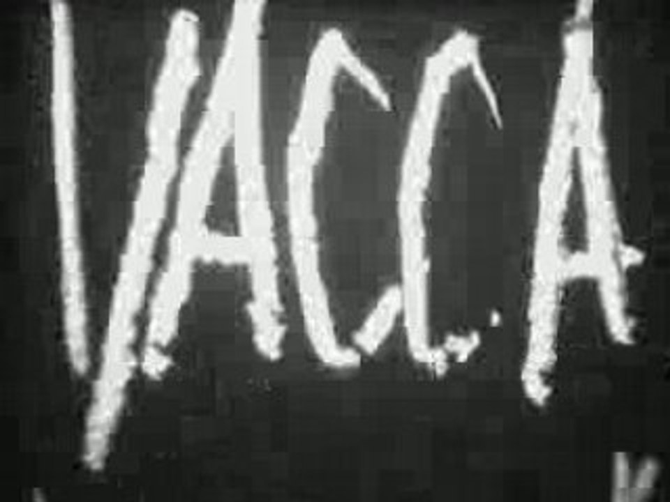 Vacca