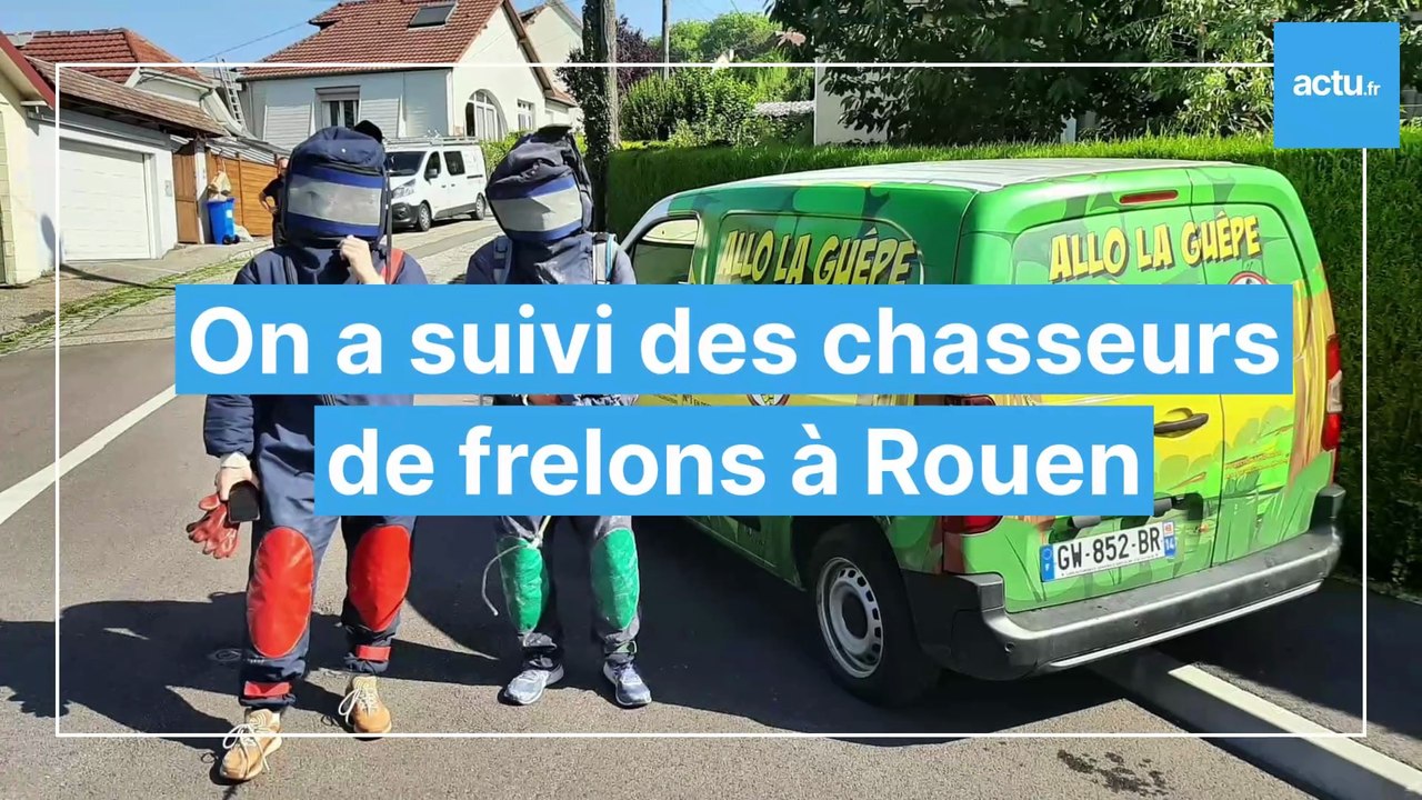 On a suivi des chasseurs de frelons asiatiques à Rouen