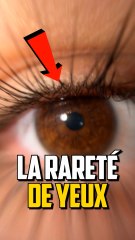 LES COULEURS D’YEUX DE LA MOINS RARE A LA PLUS RARE