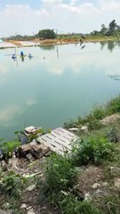 Pond Fishing Adventures