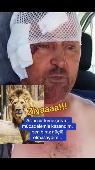 Ziya karakteri gerçek oldu: Aslanı nasıl dövdüğünü anlatan adam
