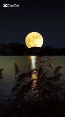 Quran Translation & Urdu Tafsir 📖 | Understand the Divine Message