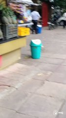 Bustling shops, lively vibes, and urban energy await!  #StreetVibes #UrbanAdventure #LocalLife #CityPulse