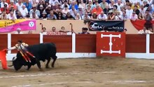 robleño ceret
