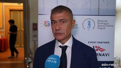 Rinnovabili, Pecoraro: da Sicilia grande contributo innovazione