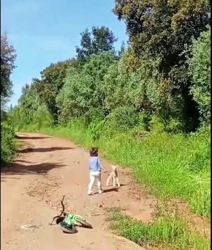 Cute Girl Plays with Baby Goat – Then Mama Goat Charges! 😱 | Funny Animal Attack Moment Caught on Camera #cutegirl #goat #animals #funny