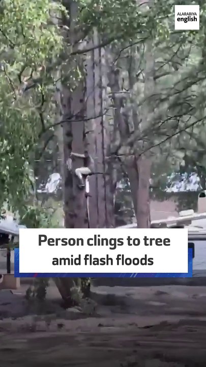 Person clings to tree amid flash floods