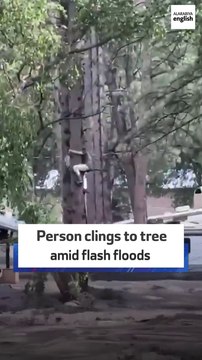 Person clings to tree amid flash floods