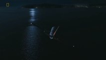 Air Crash - Amerrissage forcé - Saison 25 - Épisode 1 - Vol Transair 810 (FR)