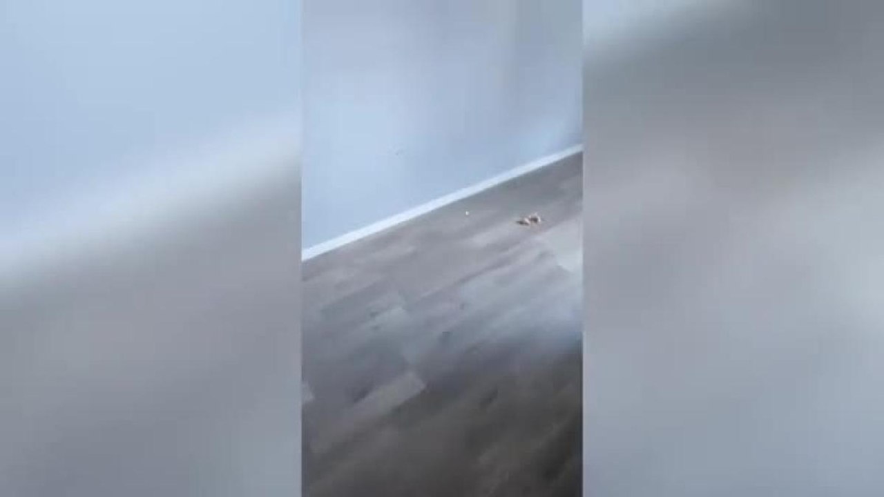 L'appartamento distrutto dai turisti italiani a Tirana: «Ecco come lo hanno ridotto»