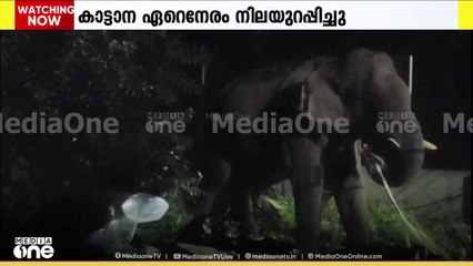 അതിരപ്പള്ളി പൊലീസ് സ്റ്റേഷൻ കോമ്പൗണ്ടിനകത്ത് കാട്ടാന