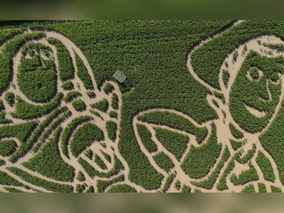 Labyrinth feiert 'Toy Story': Woody, Buzz und Co. verirrt im Mais