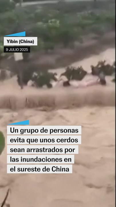 No usar (Archivo inactivo)