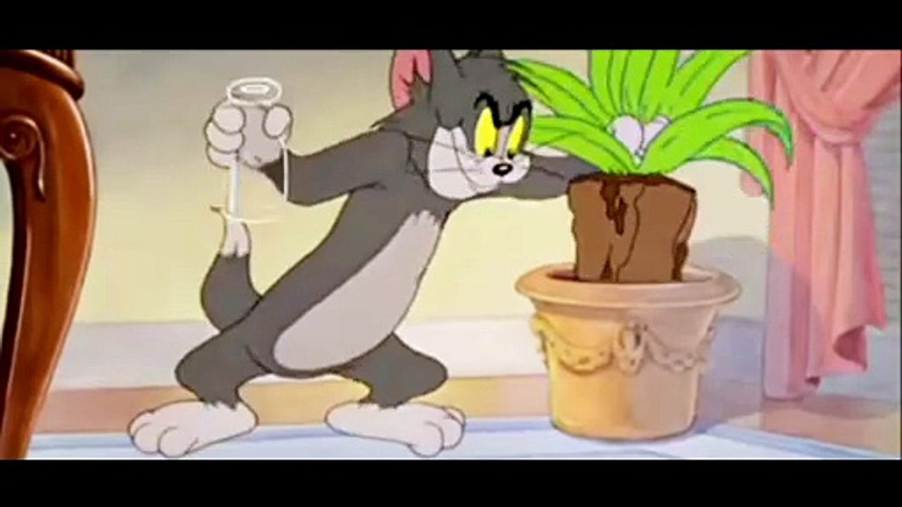 Tom and Jerry funny