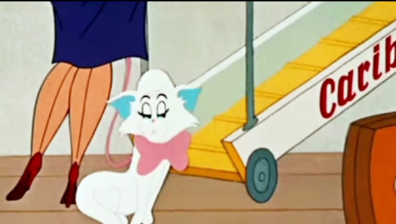 Tom and Jerry cartoon