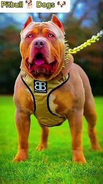 #cute 🥰animals that you have never seen before@MrBeast @MarkRober #pets #trendingshorts #very viral