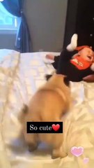 "Confidence Level: 100 🔥"