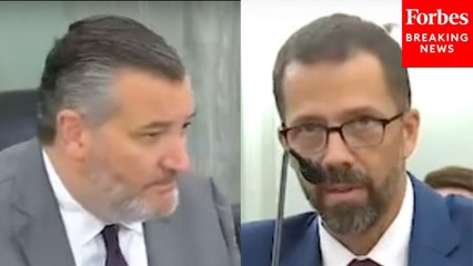 Ted Cruz: Is There Any Kind Of Drone Available That Could Navigate Through A Hurricane?