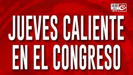 Contra los recortes del Estado: el Senado trata la Ley de Emergencia en Discapacidad