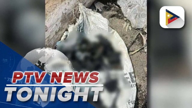 Authorities found bones during initial technical inspection in Taal Lake