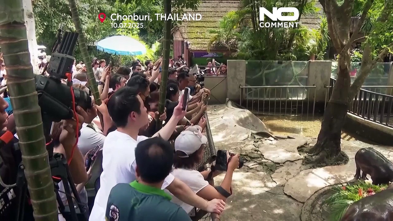 Thailands Star-Baby-Flusspferd Moo Deng feiert seinen ersten Geburtstag