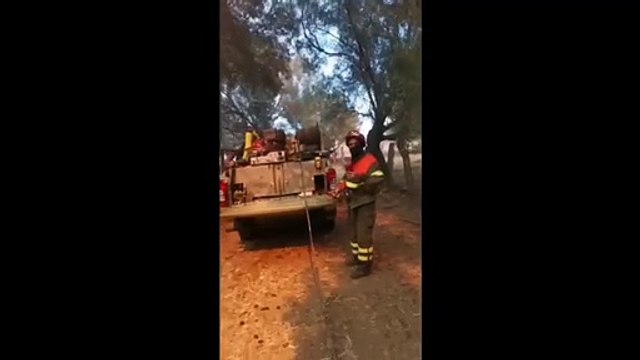 Incendio a Olbia, super lavoro a terra per domare le fiamme