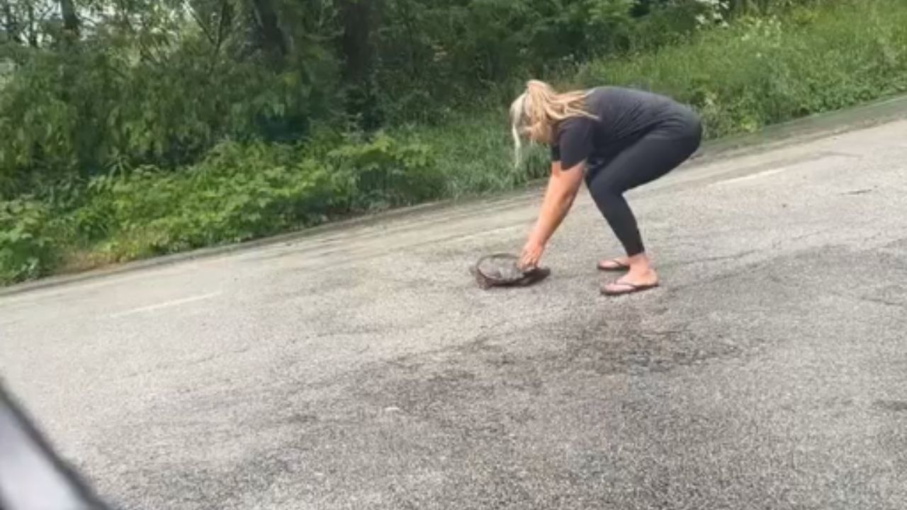 'When You Think You're a Disney Princess' - Woman scared after the turtle she was trying to help gets angry at her