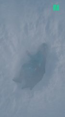 'Superman', de James Gunn: "El Superman más humano que se ha visto en el cine"