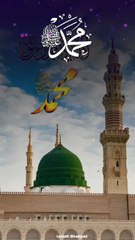 "Muhammad ﷺ Hamare Bari Shaan Wale | Naat Status Video"