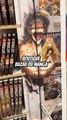 Boutique Bazar du Manga !