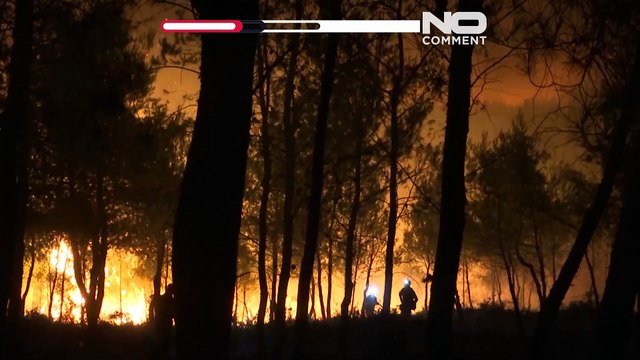 Gli sforzi notturni dei vigili del fuoco contengono gli incendi in Grecia