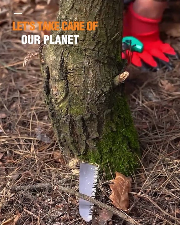 Learn to remove tree stump and heal hollows! - video Dailymotion