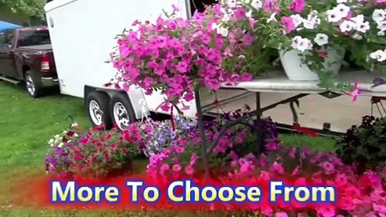 MAY 3 2025  Farmers Market Dixon IL 4 K Film