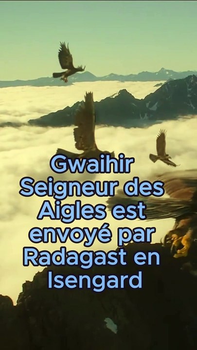 LES AIGLES DANS LE SEIGNEUR DES ANNEAUX LOTR