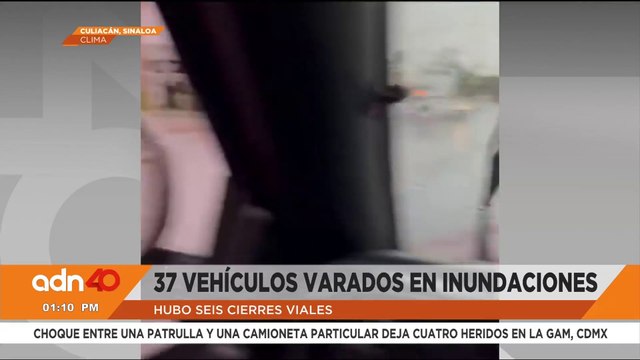 Buscan cocodrilos tras el desbordamiento del rió Tamesí en Tampico, Tamaulipas