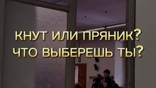 Кнут или пряник - что с медобразованием в Италии и в РФ