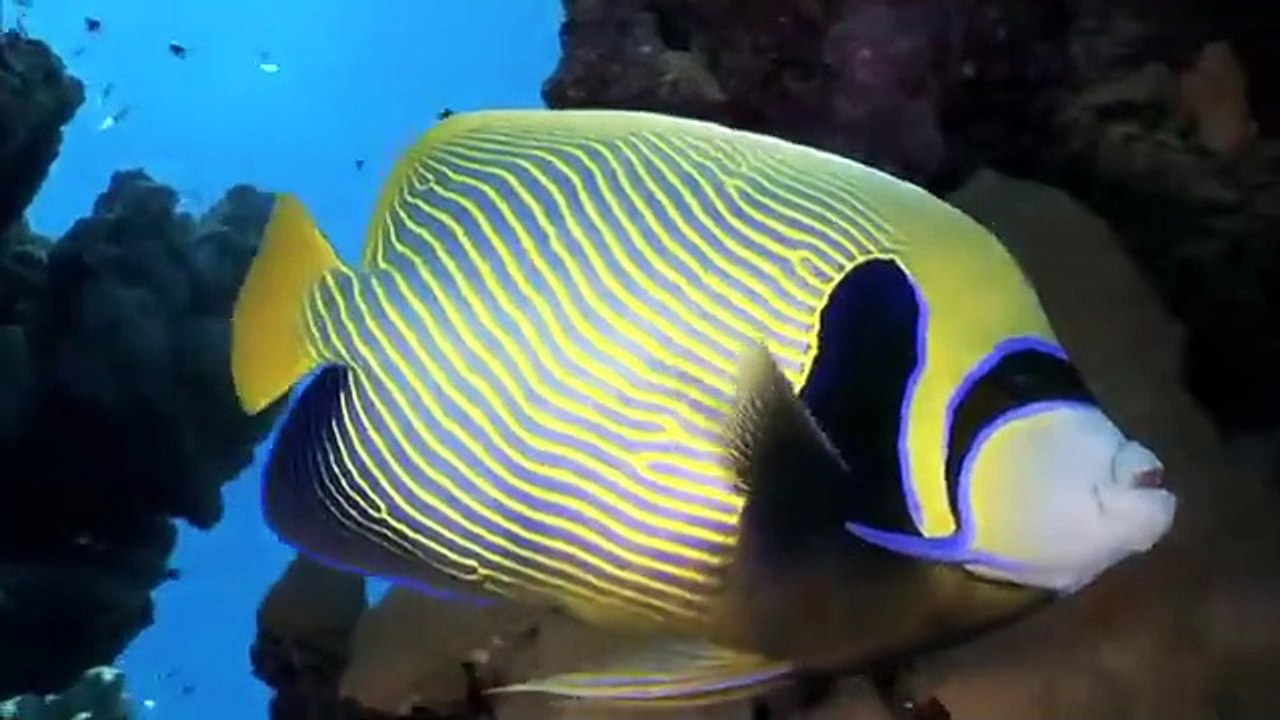 Planeta Agua