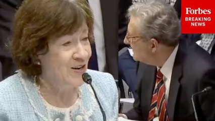 John Kennedy Cracks Up Fellow Lawmakers Pitching Questions To Susan Collins