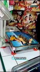 ATBINFORMA- Baja el precio del pollo y la carne de res