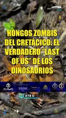 ATBCIENCIA - Hongos Zombis del cretácico el verdadero "Last of us" de los dinosaurios