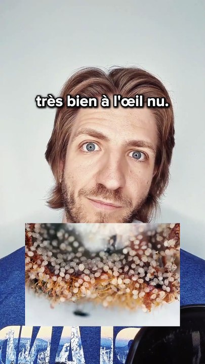 Des phénomènes étranges dont tu n'as jamais ent...